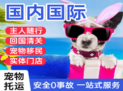 成都空运公司国际宠物托运 【国
